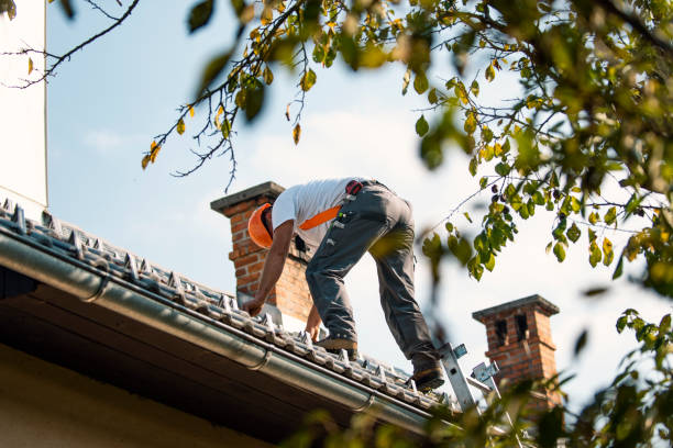 Best Chimney Flashing Repair  in Wrightstown, WI