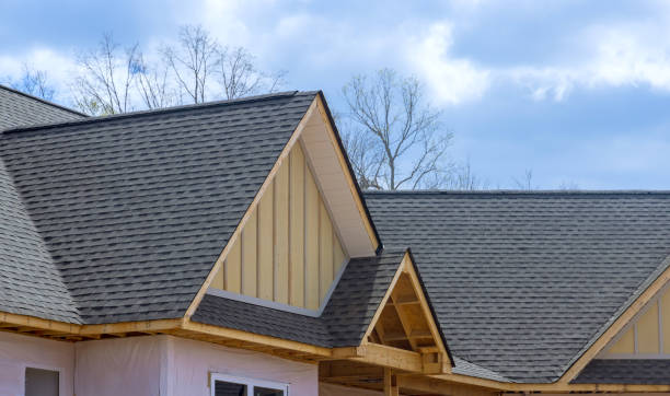 Best Skylight Installation and Repair  in Wrightstown, WI