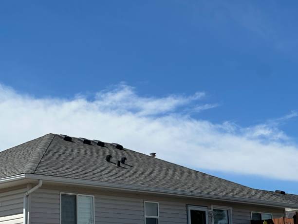 Best Roof Maintenance and Cleaning  in Wrightstown, WI